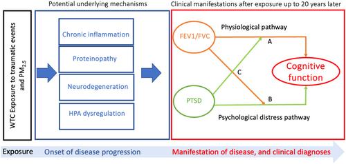 Cross-sectional association between posttraumatic stress and cognition is moderated by pulmonary functioning in world trade center responders