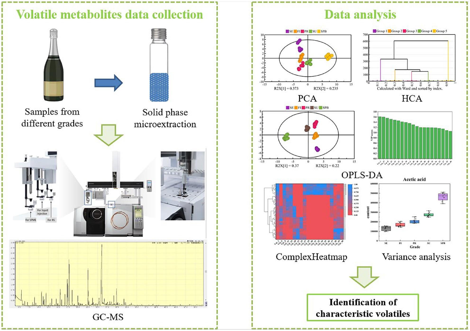 Identification of characteristic volatiles of Zhenjiang aromatic vinegar using HS-SPME-GC/MS coupled with multivariate analysis