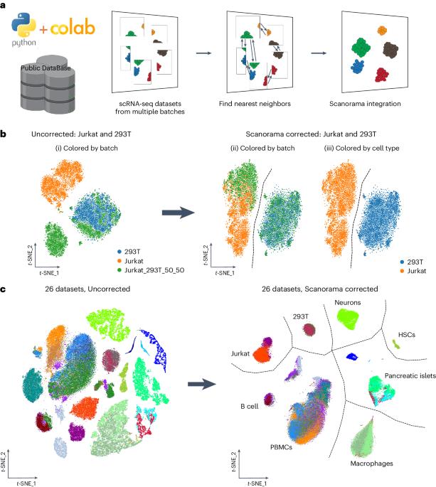 Scanorama: integrating large and diverse single-cell transcriptomic datasets