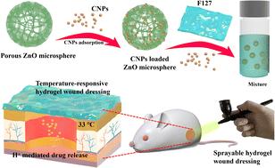Sprayable, thermosensitive hydrogels for promoting wound healing based on hollow, porous and pH-sensitive ZnO microspheres†