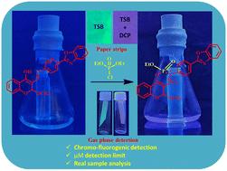 A highly selective chromo-fluorogenic probe for specific detection of sarin gas simulant diethylchlorophosphate in liquid and vapor phases†