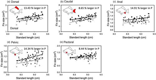 Finotypic plasticity: Predator-induced plasticity in fin size, darkness and display behaviour in a teleost fish