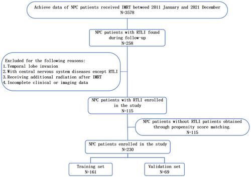 A pretreatment multiparametric MRI-based radiomics-clinical machine learning model for predicting radiation-induced temporal lobe injury in patients with nasopharyngeal carcinoma