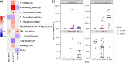 Replacement of fishmeal with a microbial single-cell protein induced enteropathy and poor growth outcomes in barramundi (Lates calcarifer) fry