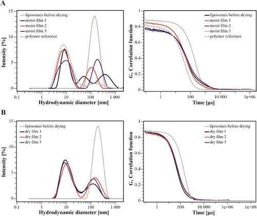 Stability of Free and Liposomal Encapsulated RNA on a Mucoadhesive PVA Polymer for Esophageal RNA Drug Targeting Using the EsoCap System