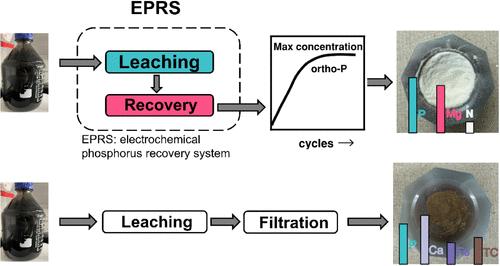 Electrochemical Phosphorus Recovery from Anaerobically Digested Sludge: Improving Product Purity and Concentration