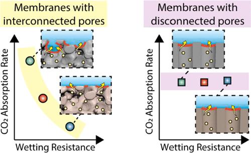 Interplay between Membrane Wetting Resistance and the Carbon Dioxide Absorption Rate in a Membrane Contactor: The Critical Role of the Gas–Liquid Interface