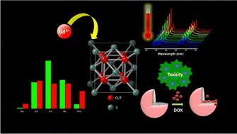 Exploring the potential of lanthanide-doped oxyfluoride materials for bright green upconversion and their promising applications towards temperature sensing and drug delivery†