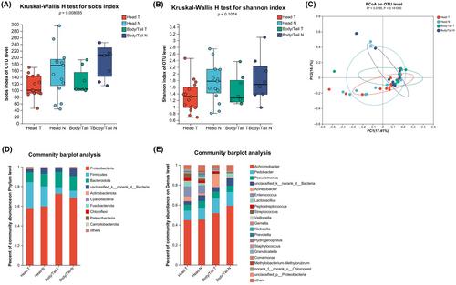 Microbiota and metabolite alterations in pancreatic head and body/tail cancer patients