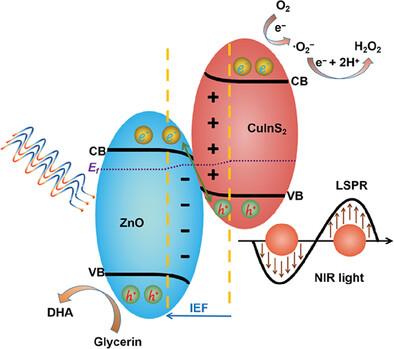 Plasmonic Near-Infrared-Response S-Scheme ZnO/CuInS2 Photocatalyst for H2O2 Production Coupled with Glycerin Oxidation