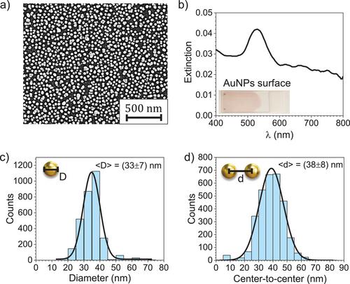 Beyond the Passive Diffusion: Core@Satellite Magneto-Plasmonic Particles for Rapid and Sensitive Colorimetric Immunosensor Response