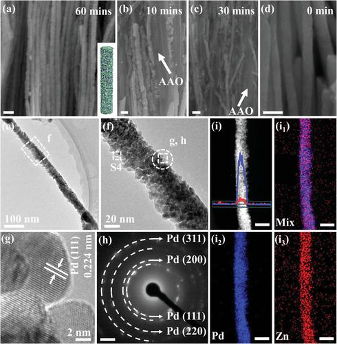 Surface Engineering on Palladium and Zinc Nanowires for Hydrogen Sensing Working at ≈190–388 K Temperature Range