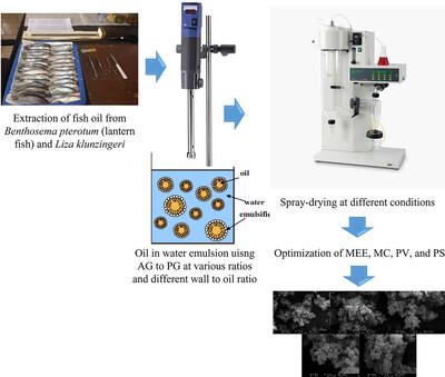 Microencapsulation of fish oil rich in EPA and DHA using mixture of Arabic gum and Persian gum through spray-drying technique