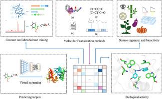 AI-driven drug discovery from natural products