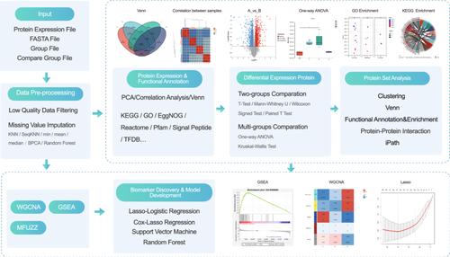 Majorbio Cloud 2024: Update single-cell and multiomics workflows