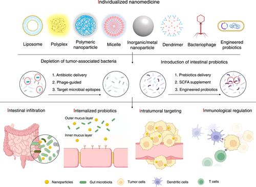 The challenge and opportunity of gut microbiota-targeted nanomedicine for colorectal cancer therapy