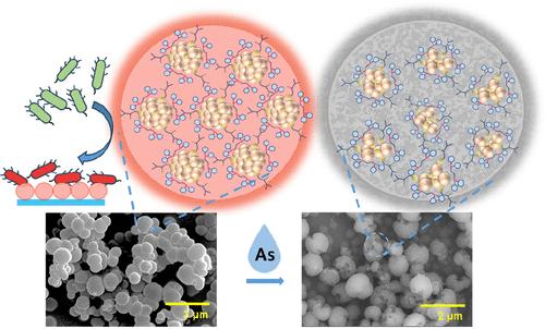 Cysteine-Protected Antibacterial Spheroids of Atomically Precise Copper Clusters for Direct and Affordable Arsenic Detection from Drinking Water