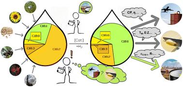 Catalytic processes for the selective hydrogenation of fats and oils: reevaluating a mature technology for feedstock diversification