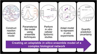 An adaptable in silico ensemble model of the arachidonic acid cascade†