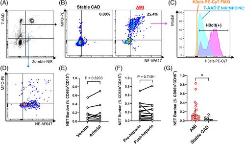 CPHEN-017: Comprehensive phenotyping of neutrophil extracellular traps (NETs) on peripheral human neutrophils