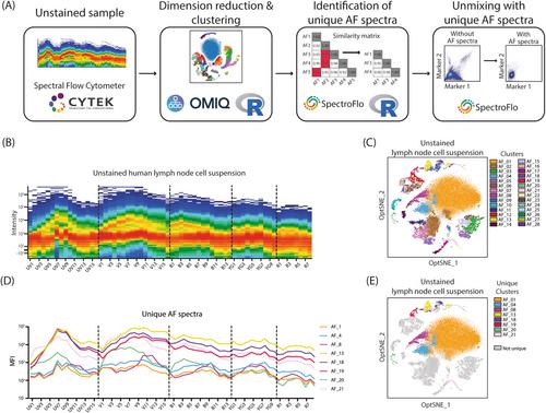 Unbiased method for spectral analysis of cells with great diversity of autofluorescence spectra