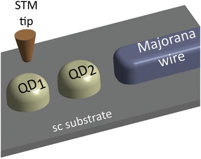 Spectral and Transport Properties of Andreev Molecule Coupled to Majorana Wire