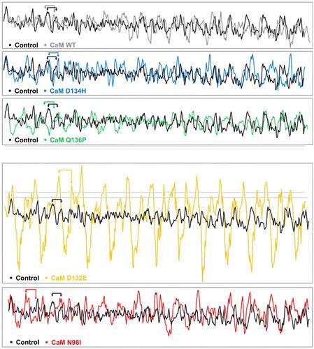 Divergent Biochemical Properties and Disparate Impact of Arrhythmogenic Calmodulin Mutations on Zebrafish Cardiac Function