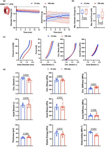 Mapping the unicellular transcriptome of the ascending thoracic aorta to changes in mechanosensing and mechanoadaptation during aging