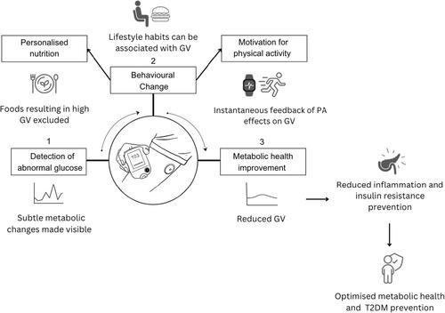 Innovative solution or cause for concern? The use of continuous glucose monitors in people not living with diabetes: A narrative review