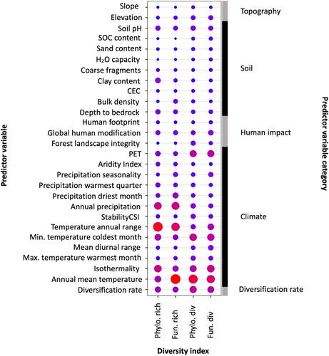 Functional and phylogenetic dimensions of tree biodiversity reveal unique geographic patterns