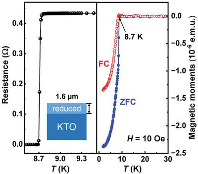 Observation of Superconductivity Up to 8.7 K in Reduced Potassium Tantalate