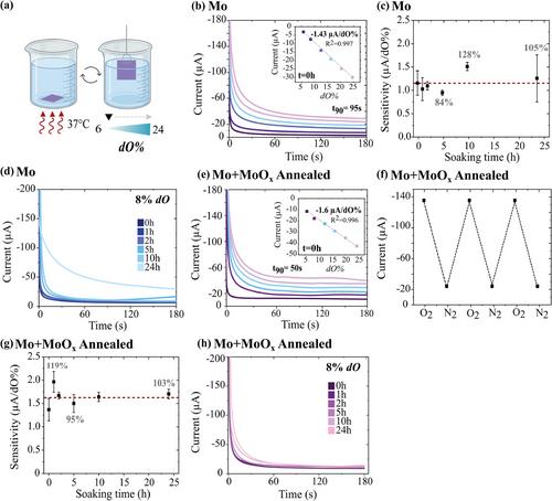 A Fully-Bioresorbable Nanostructured Molybdenum Oxide-Based Electrode for Continuous Multi-Analyte Electrochemical Sensing