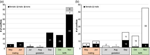 Evidence for female dominance in the Milne-Edwards' sportive lemur (Lepilemur edwardsi)