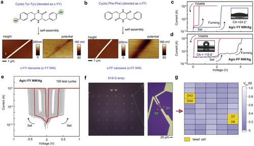 Development of Bio-Voltage Operated Humidity-Sensory Neurons Comprising Self-Assembled Peptide Memristors