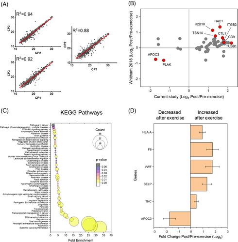 A fast and sensitive size-exclusion chromatography method for plasma extracellular vesicle proteomic analysis