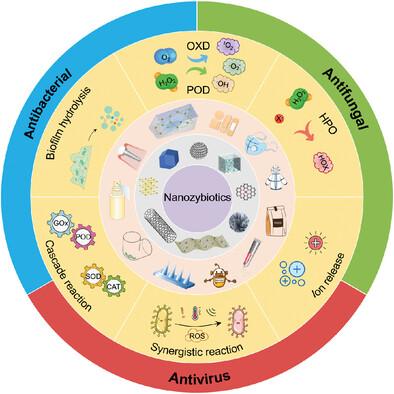 Nanozybiotics: Advancing Antimicrobial Strategies Through Biomimetic Mechanisms