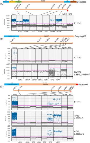 Monitoring of molecular responses to tirabrutinib in a cohort of exceptional responders with relapsed/refractory mantle cell lymphoma