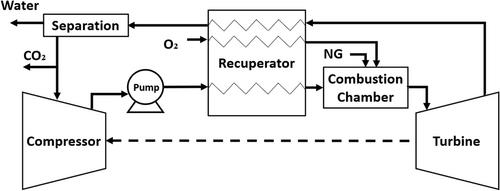 Thermoeconomic analysis of sCO2 power cycles