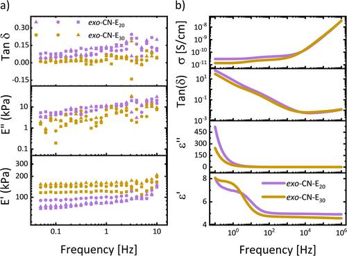 Elastomers Based on Polynorbornene with Polar Polysiloxane Brushes for Soft Transducer Applications