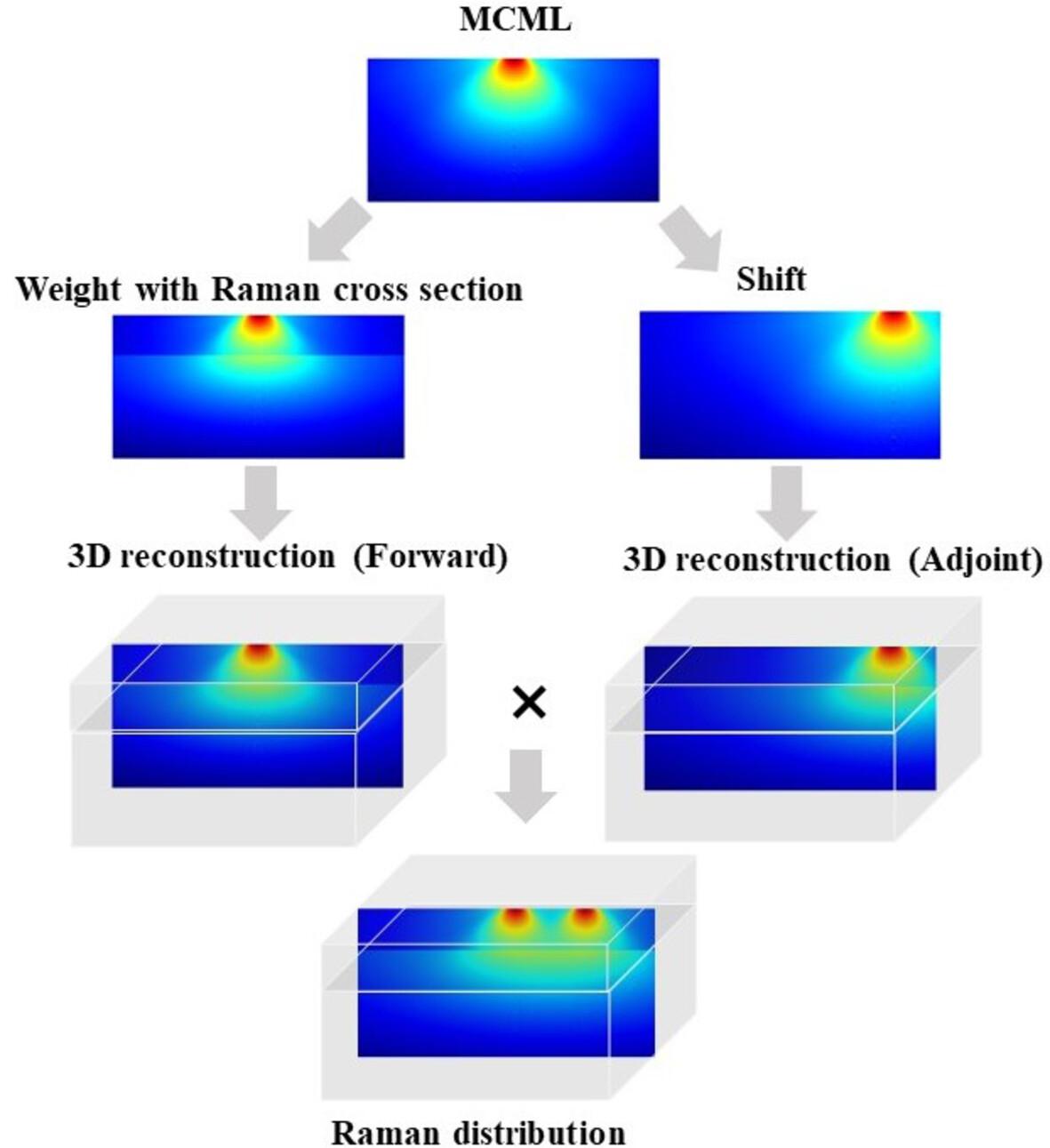 Determining ideal offsets of spatially offset Raman spectroscopy for transcutaneous measurements—A Monte Carlo study