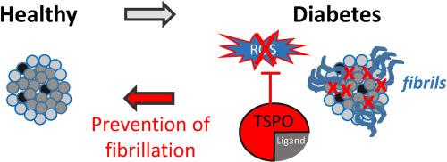 TSPO in pancreatic beta cells and its possible involvement in type 2 diabetes