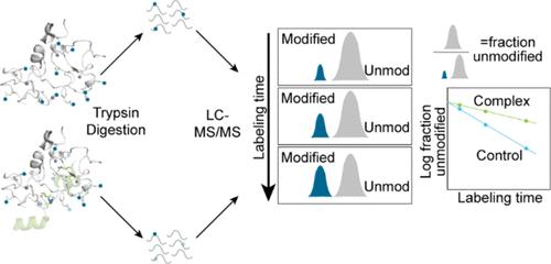 Mass Spectrometry-Based Protein Footprinting Defines the Binding Pocket of Crotonylated H3K14 in the PHD1 Domain of BAF45D within the BAF Chromatin Remodeling Complex