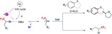 Catalytic reduction of trifluoromethylated alkyl bromides and synthesis of alkylated heterocycles under visible light irradiation: synergetic action of a halogen bond and Ni catalysis†