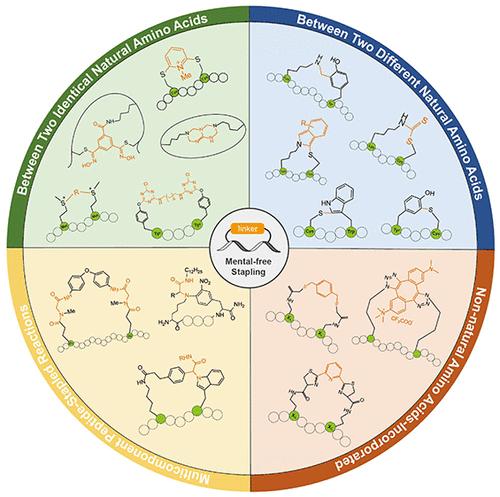 Recent Advances in Metal-Free Peptide Stapling Strategies