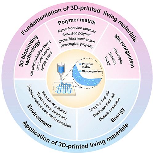 3D Bioprinting of Microbial-based Living Materials for Advanced Energy and Environmental Applications