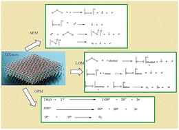 Applications of MXenes in hydrogen evolution/oxygen evolution and nitrogen reduction reactions