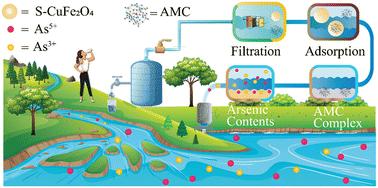 A report on arsenic removal from water via adsorption of an arsenomolybdate complex on S–CuFe2O4 adsorbents†