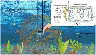 Solving the biofouling problem of uranium extraction from seawater by plasma technology†