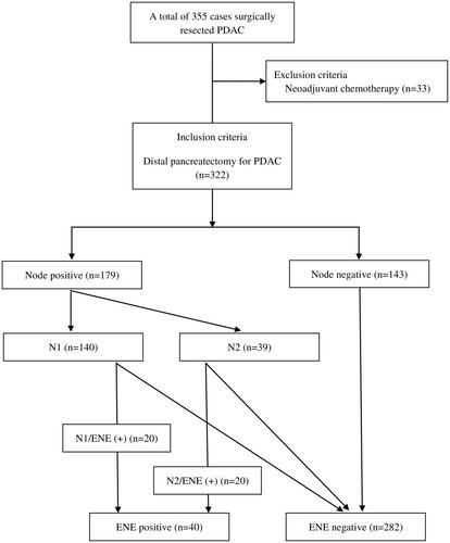 Extranodal extension influences prognosis in pancreatic body/tail cancer: A retrospective cohort study