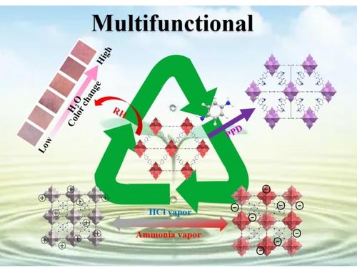 Muti-Responsive Flexible Ln-MOFs Paper Based on Cellulose Fibers for Sensing Humidity, pH and Phenylenediamine